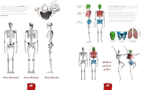 Draw Like a Mangaka: Anatomy: A Comprehensive Anatomical Reference - Master Anatomy, Figure Drawing and Poses - Image 8