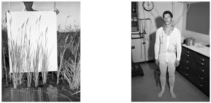 Larry Sultan & Mike Mandel: Evidence - Image 4