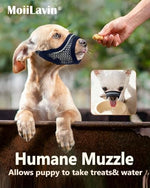 Internal soft padding view of dog mouth guard