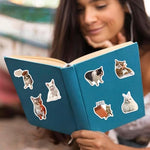Slncwtr cat sticker collection for journaling