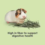 Hand selected high fiber timothy hay for optimal small animal digestive health