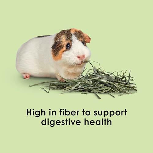 Hand selected high fiber timothy hay for optimal small animal digestive health