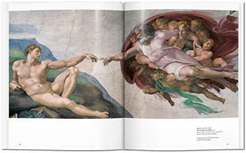 Michelangelo (Basic Art) - Image 6
