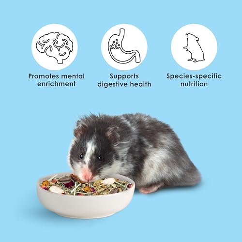 Close up look of Kaytee natural pet hamster food texture and nutritious pellets