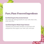 Close up of Pure Synergy Resveratrol 250 mg label details