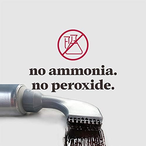 Just for Men ammonia free gray hair coverage kit for men packaging side view