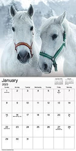 2023 Horses Mini Wall Calendar - Image 3