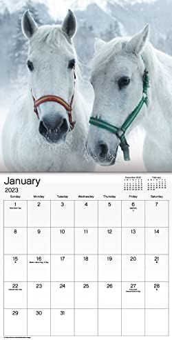 2023 Horses Mini Wall Calendar - Image 3