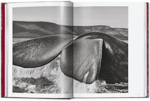 SebastiÃ£o Salgado. Genesis. 45th Ed. (45th Edition) - Image 5