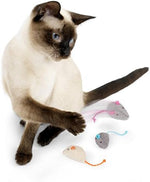 SmartyKat catnip toy set for indoor cats