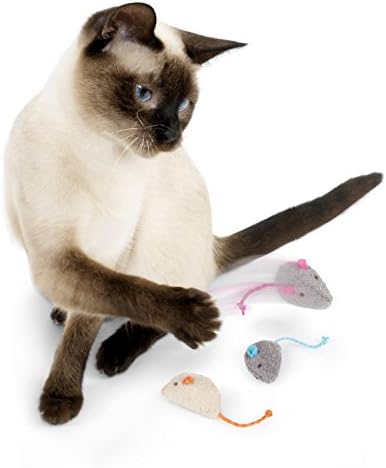 SmartyKat catnip toy set for indoor cats