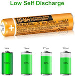 Close up of Triangle Power five hundred fifty milliamp hour rechargeable cells.