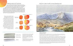 David Bellamy's Landscapes through the Seasons in Watercolour - Image 4