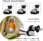 Adult using the handheld monocular gadget while hiking in nature to view distant mountain scenery