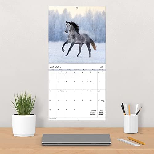 2024 Horses Wall Calendar - Image 6
