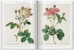 RedoutÃ©. Roses (Multilingual Edition) - Image 5
