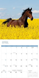 2025 Horses Wall calendar - Image 4