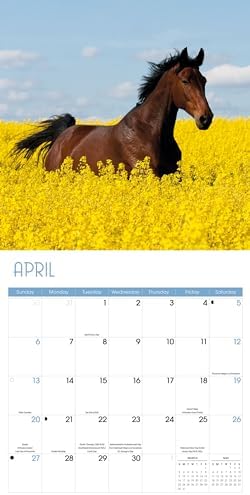 2025 Horses Wall calendar - Image 4