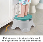 Fisher-Price 3-in-1 potty showing removable bucket interior