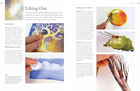 Watercolour: Techniques and Tutorials for the Complete Beginner (Art Techniques) - Image 5