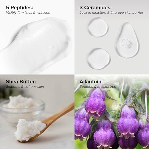 Peptide face cream with 3 ceramides to strengthen the natural skin moisture barrier