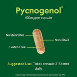 Gluten free and non GMO BESTVITE pine bark extract supplement bottle presentation.
