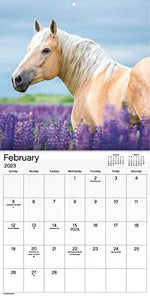 2023 Horses Mini Wall Calendar - Image 4