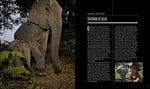 Secrets of the Elephants - Image 6