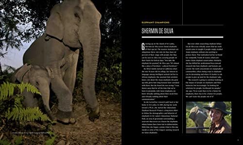 Secrets of the Elephants - Image 6