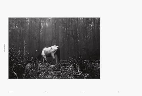 Beyond the Binary: Santu Mofokeng and David Goldblatt - Image 3
