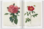 RedoutÃ©. Roses (Multilingual Edition) - Image 8