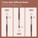 Modelones nail brush with protective storage tube
