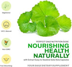 Adaptogenic herbal extract bottle for enhanced mental clarity and wellness