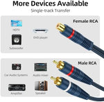 DteeDck eight inch male to female connection cords showing precise port fittings for amplifiers.