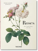 RedoutÃ©. Roses (Multilingual Edition) - Image 2