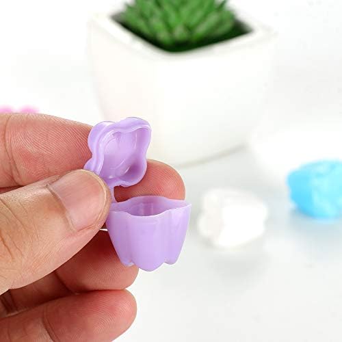 Tooth Fairy gift container for children lost teeth