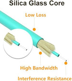 Vandesail 10G fiber patch cable aqua jacket detail