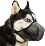Dog wearing breathable mesh muzzle with reflective strap