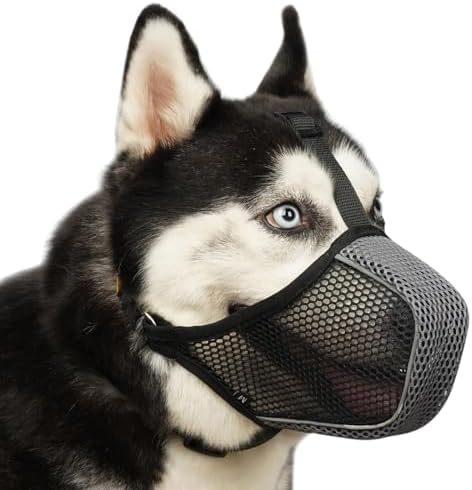 Dog wearing breathable mesh muzzle with reflective strap