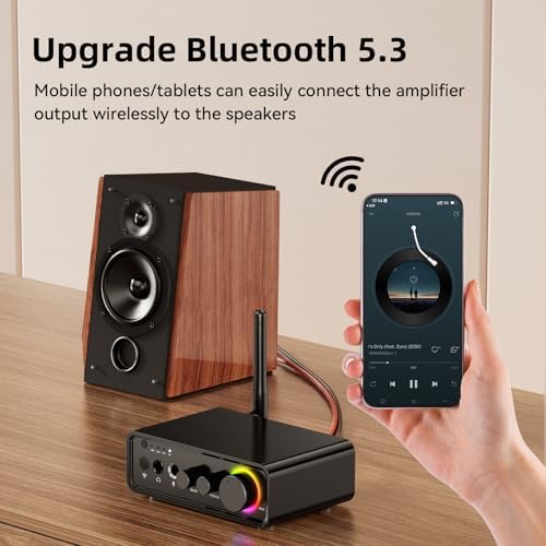MOREGAX M19 high fidelity audio setup diagram connecting television and passive bookshelf speakers.