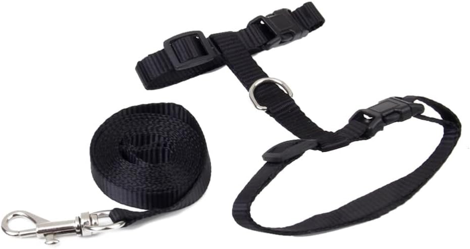 Balacoo cat leash metal snap buckle and D-ring detail