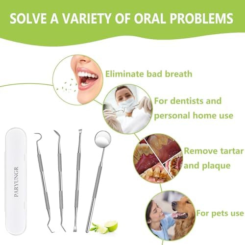 Top view of the full 3-piece oral care hygiene set with storage case.