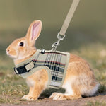 Aiitle escape-proof bunny harness showing the high-strength wide magic tape closure design.