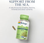 Solaray Bladderwrack supplement label detail