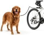 Sherpa dog bike leash mounted on bicycle seatpost
