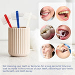 Complete twelve pack arrangement of CIATBYYJ firm bristle denture toothbrushes