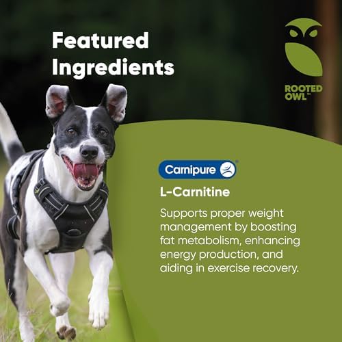 Rooted Owl metabolism capsules for healthy weight in dogs and cats
