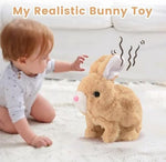Close up of Kehoo bunny toy wiggling ears and nose