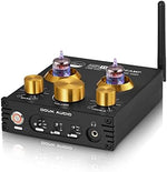 Douk Audio P1 hybrid valve amplifier displaying rear input and output connectivity ports.