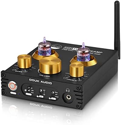 Douk Audio P1 hybrid valve amplifier displaying rear input and output connectivity ports.
